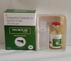 Sulbactam Sodium Injection